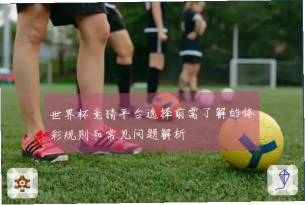 世界杯体彩竞猜玩法规则新手友好吗？